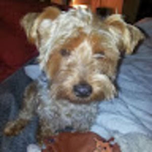 Meet your Posher, Martha